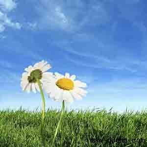 微信红包群怎么样推广