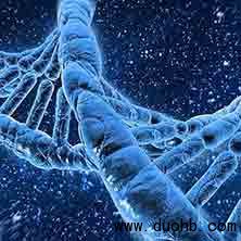 领取微信群红包教程