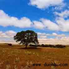 微信红包群主加的群太多怎么办